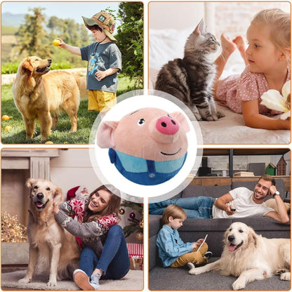 PetMotion Amigo™ – Juguete Interactivo para Mascotas